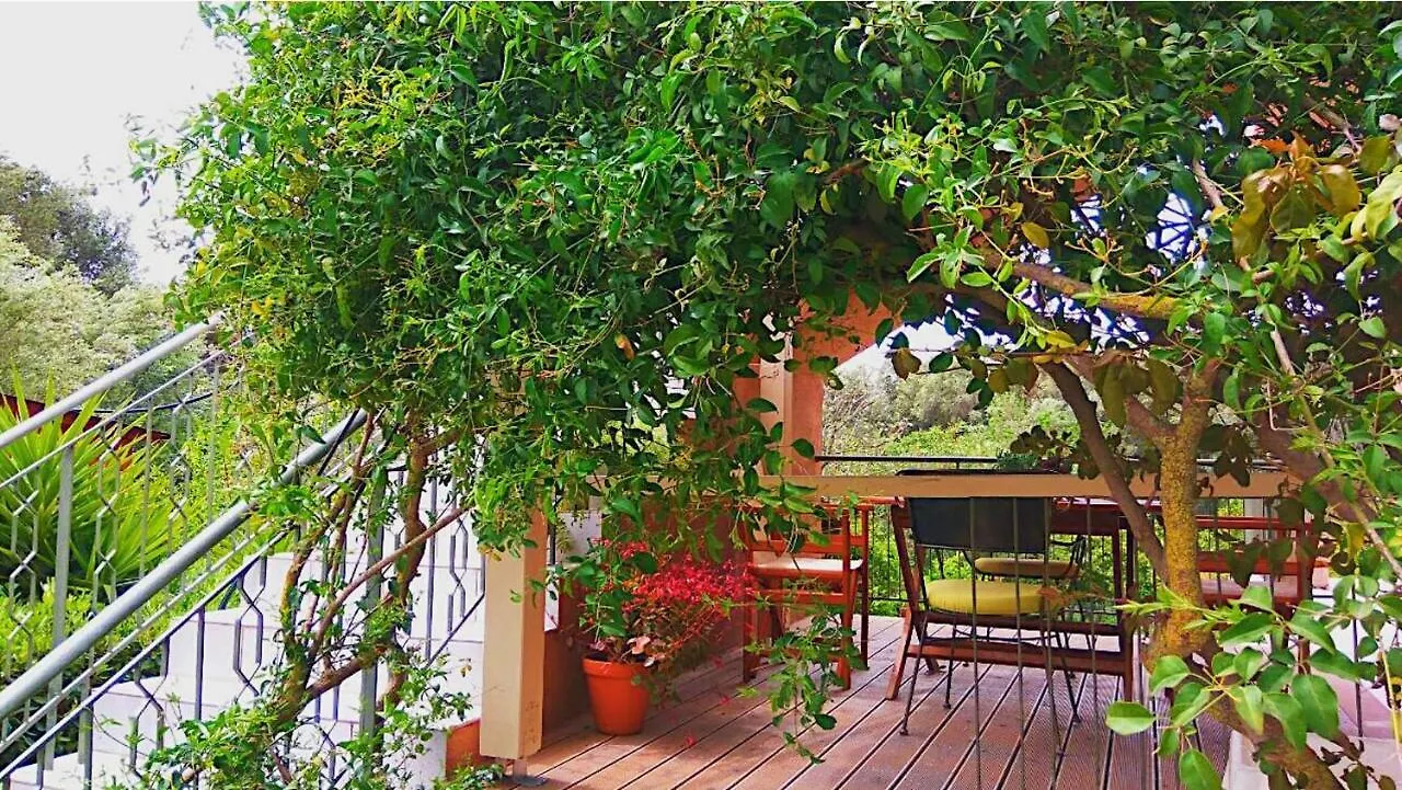 Kefalonia Apartments - Marias Studios - 2 Bedroom Apartment In Orchard, Spartia Spartia (Kefalonia)